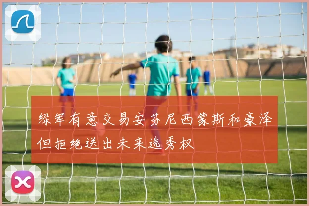 绿军有意交易安芬尼西蒙斯和豪泽但拒绝送出未来选秀权